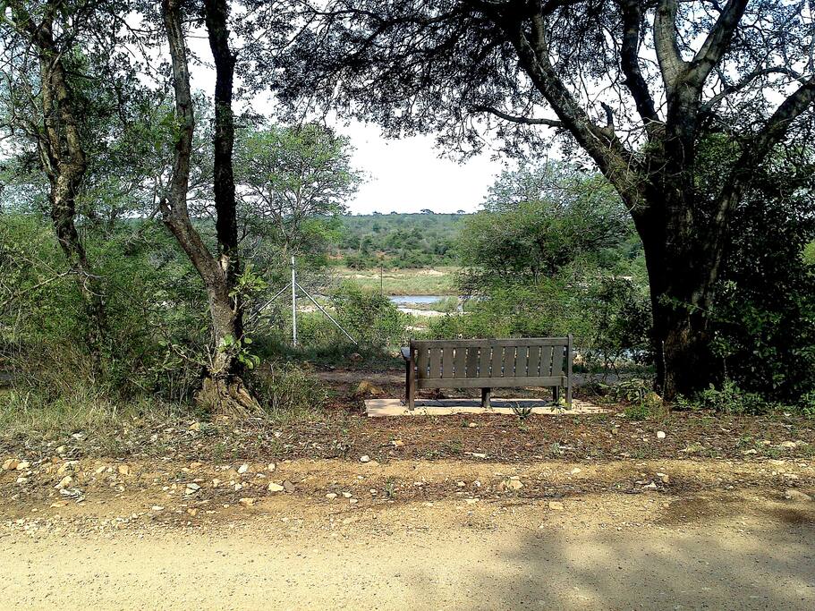 Our home-away-from-home has an amazing view of the river as well as a quiet place to sit and wait for the animals to come to you!