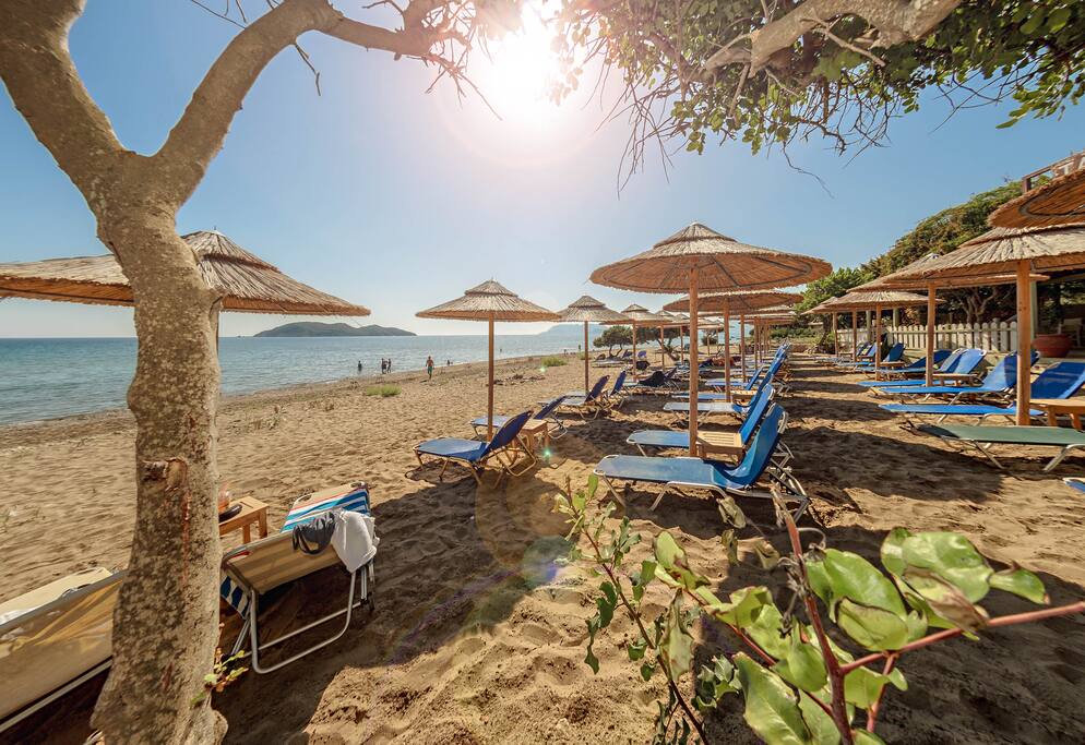Free sunbeds & umbrellas for our guests