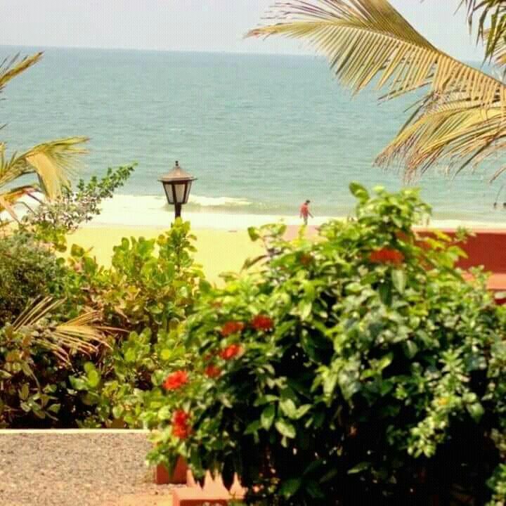 A scenic view showcases a sandy beach meeting the sea, framed by lush greenery and palm trees. A solitary figure is seen strolling along the water's edge. A decorative lamp is positioned in the foreground, adding character to the tranquil coastal setting.