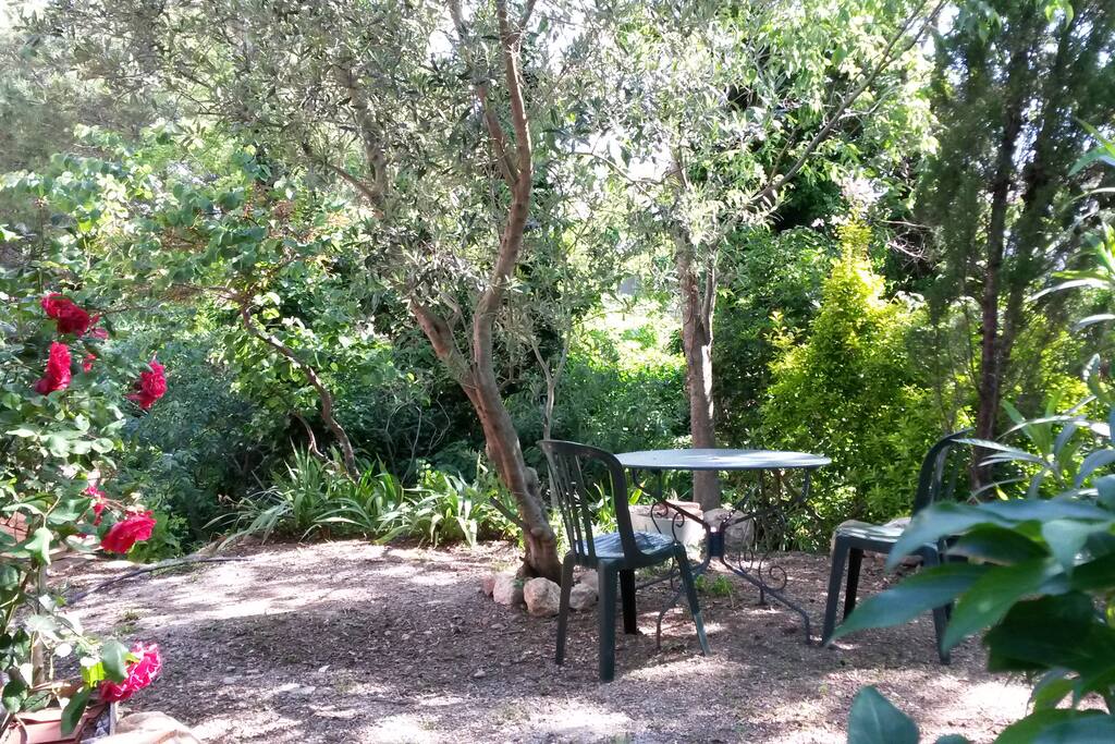 Le jardin