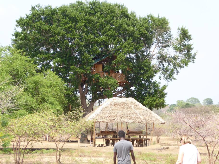 Treehouse with Restaurant