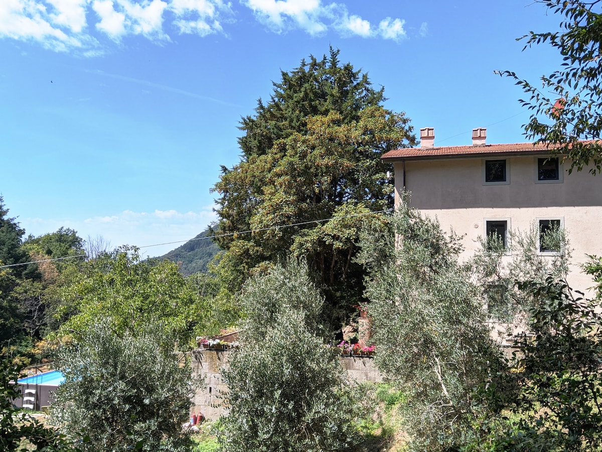 The house is surrounded by lush greenery, with olive trees providing a natural border. A glimpse of the swimming pool is visible through the trees, and the distant hills create a serene backdrop under a clear blue sky.