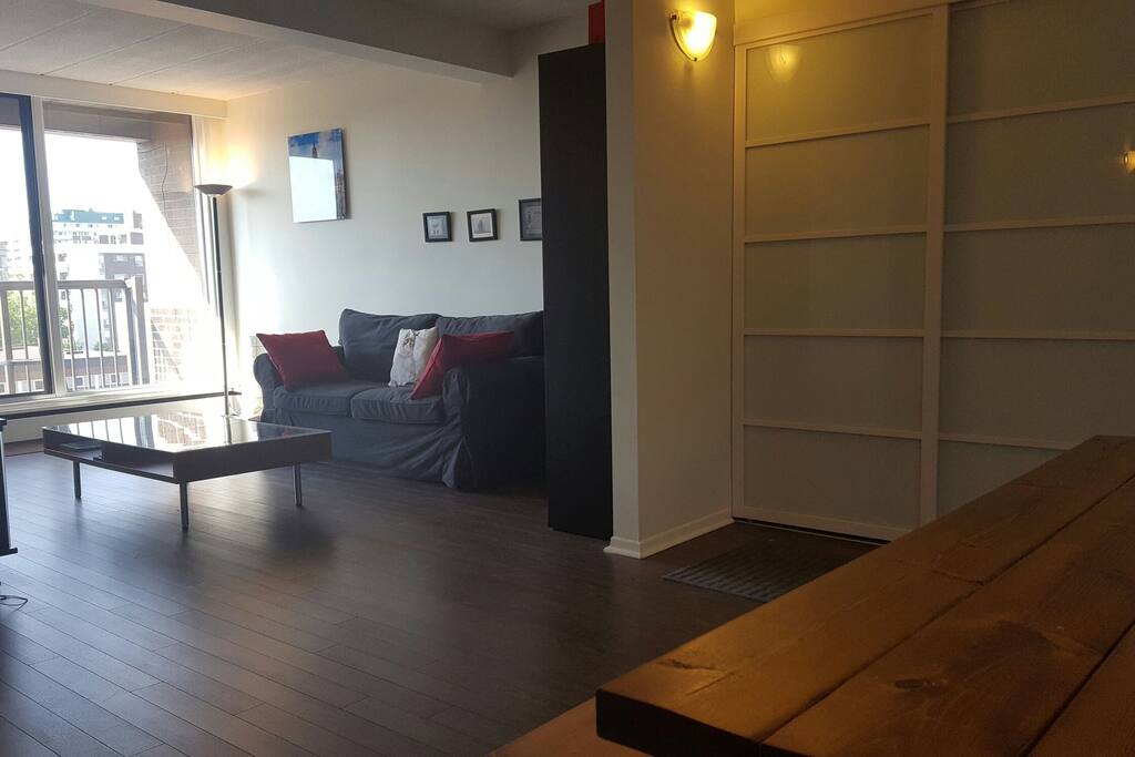 The living room where the sofa bed is. Bright and spacious.