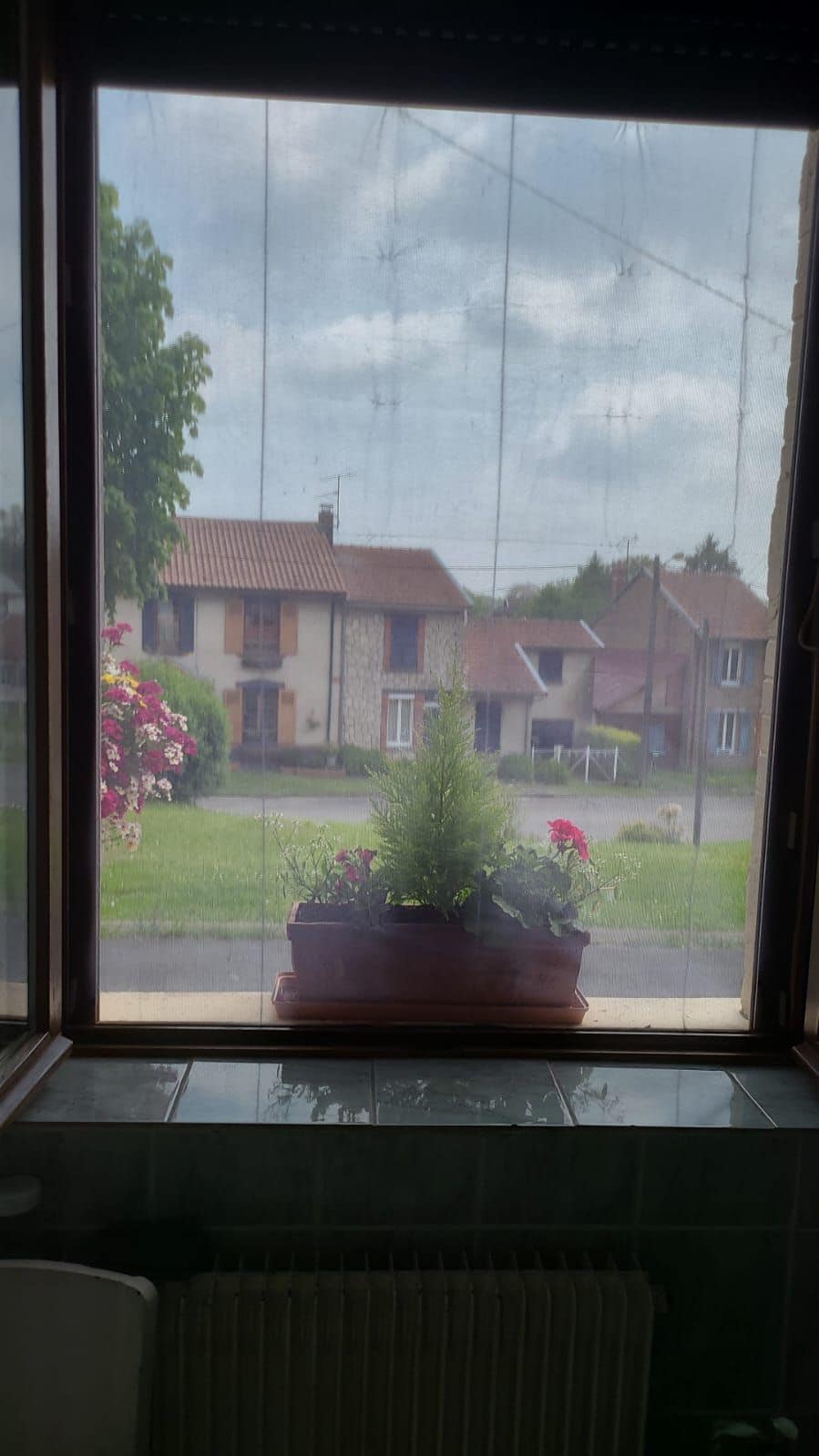 A window displays a view of the landscaped street outside, featuring houses with brick facades. A planter filled with vibrant flowers is positioned on the sill, adding a touch of greenery to the scene. Light filters softly through the sheer curtain.