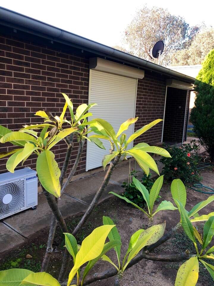 tea tree cot mattress