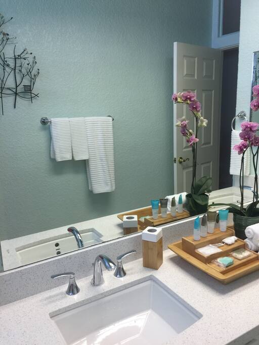 Two sinks and a shower bathtub combination