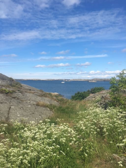 view towards Flatholmen from Klädesholmen Strandvägen