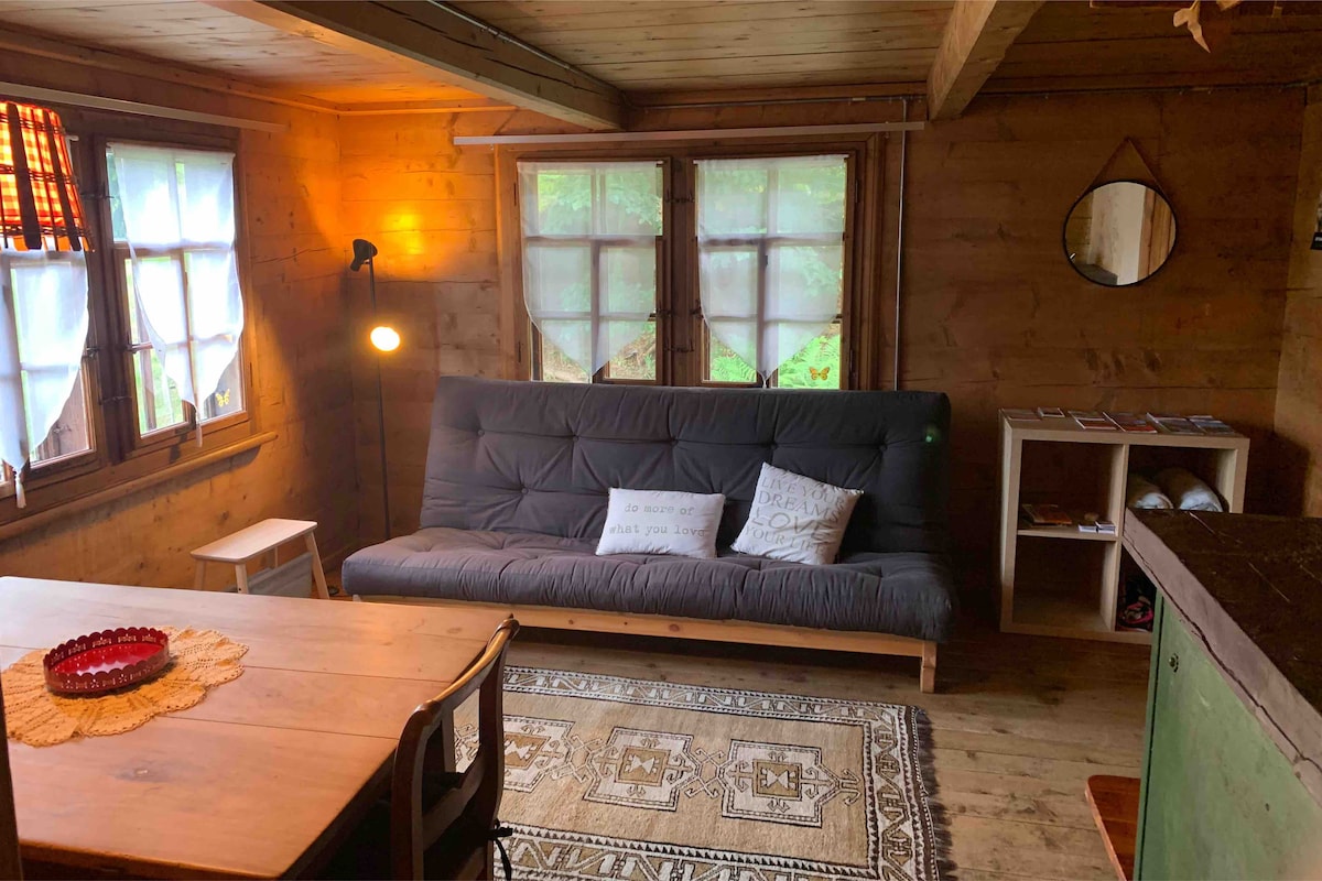 Всекидневна с разтегателен диван Karup