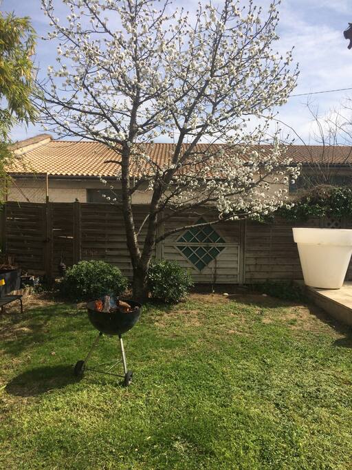 Le jardin avec le barbecue