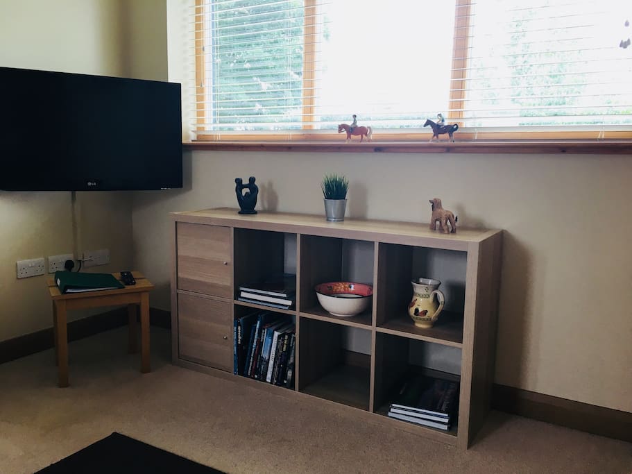 Cozy Living area