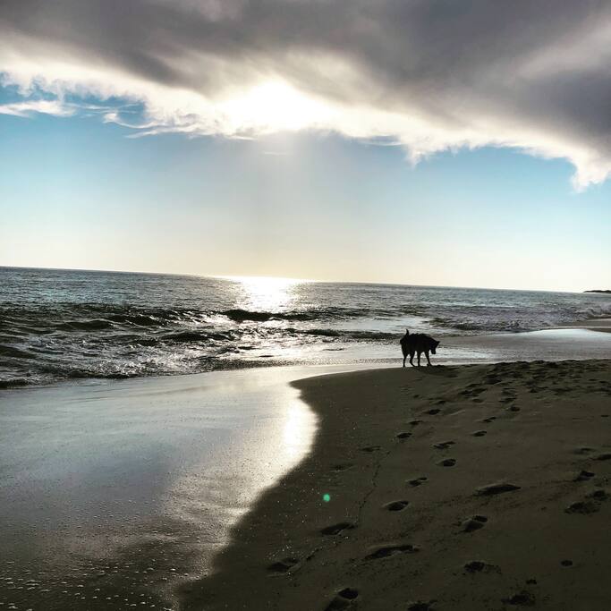 The beautiful beach is only a 5 minute drive. ☀️