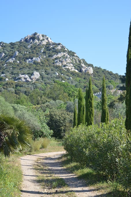 Le Chemin