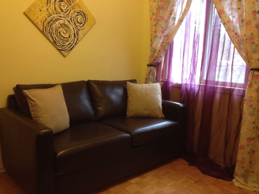 Small private living room and/or double pullout couch