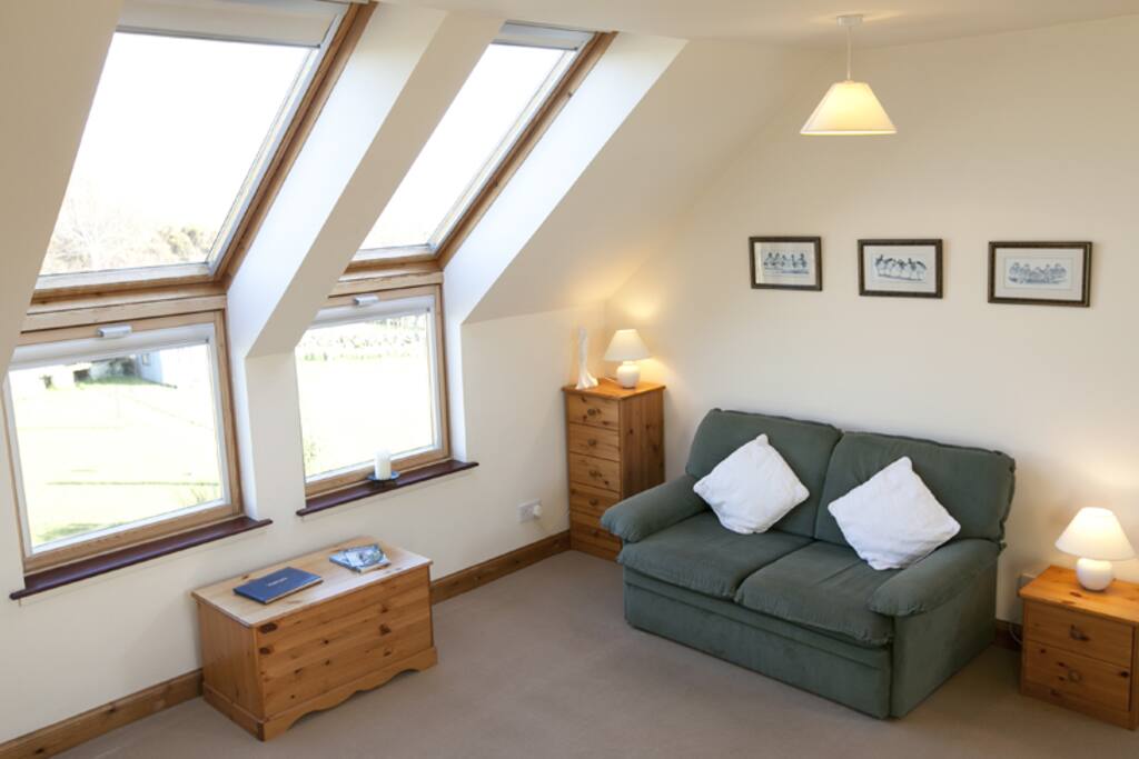 Living area with double sofa bed