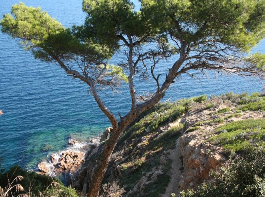 Villa Seaview