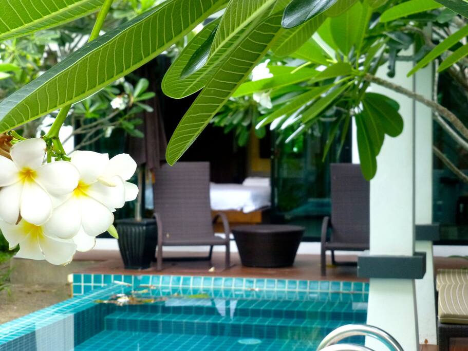 POOL AND OUTDOOR