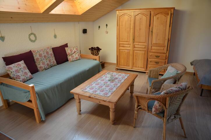 Penthouse Froniblick