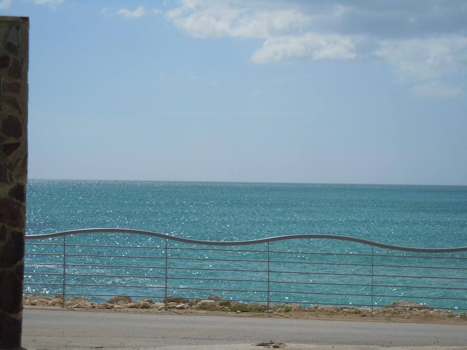 mare