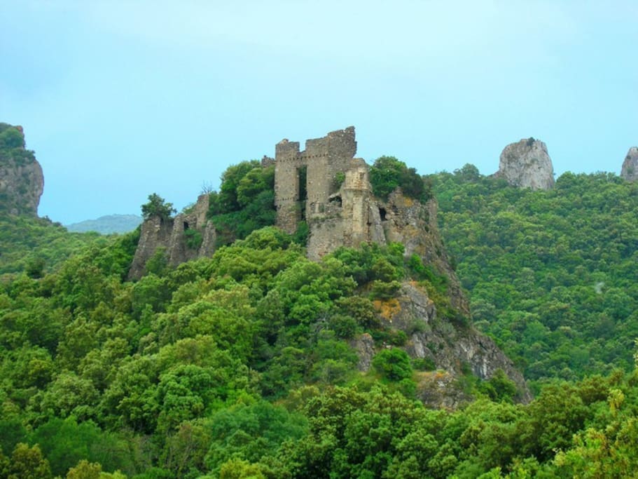 château de Durfort à vignevieille