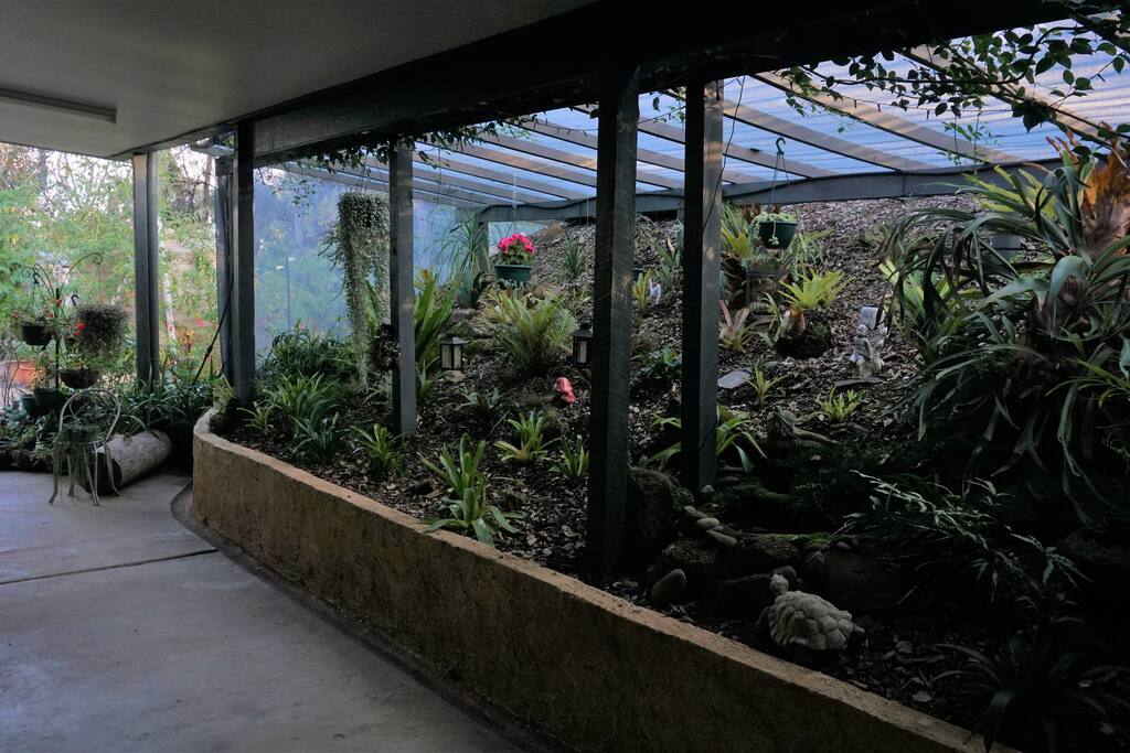 Fernery where you can sit and have a cup of tea, read a book or surf the net