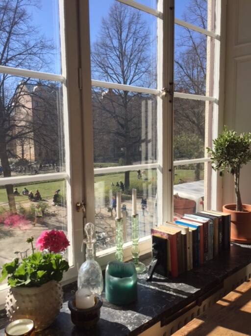 Stora härliga fönster med utsikt över Mariatorget.