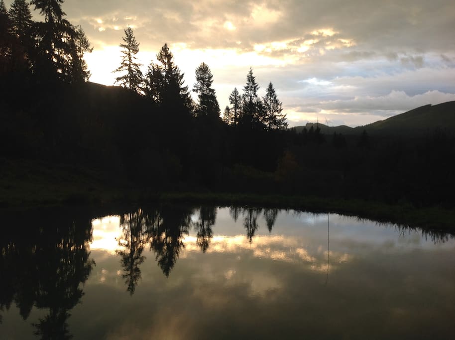 The pond below the cabins---a mirror to the sky.