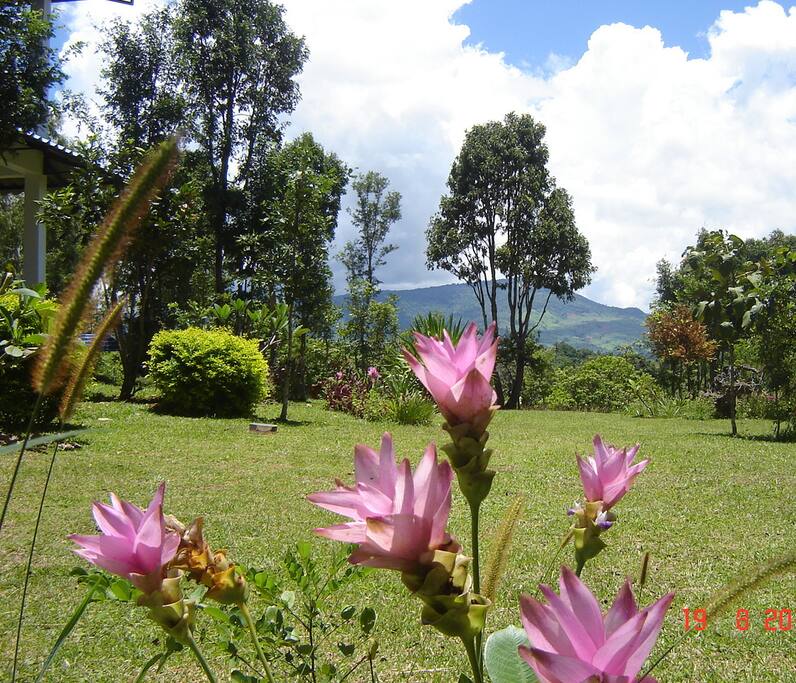 Our resort