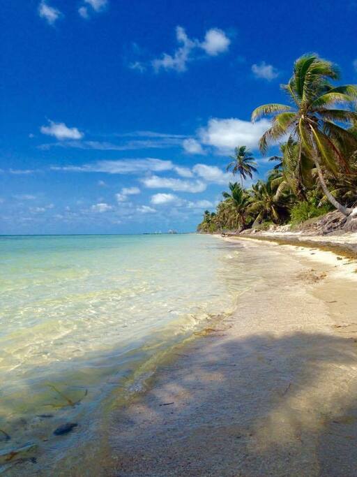 The beach