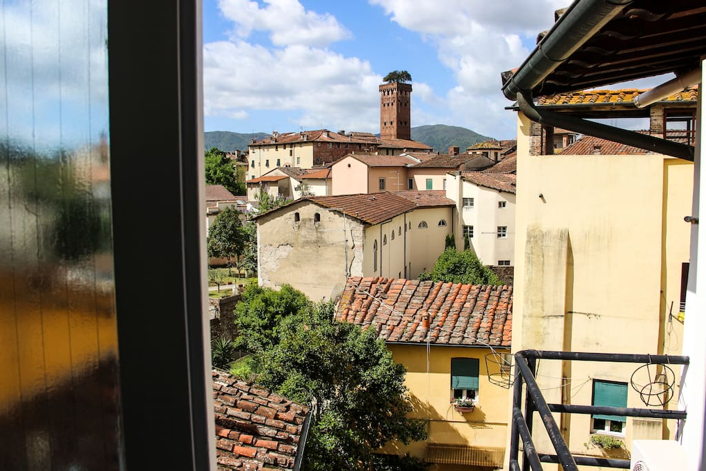 view