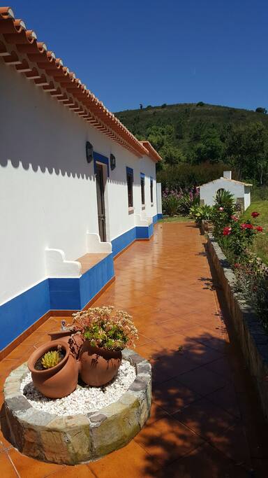 Frente