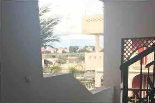 A view is captured through an open space, revealing green surroundings and distant structures. Natural light filters in, highlighting the architectural features of the staircase to the right and the simple decor of the adjacent wall.