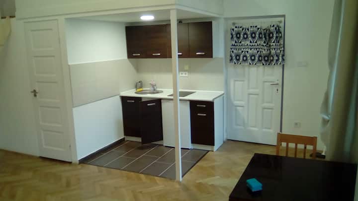 2.tiny,fresh Studio At Somogyi St 16 In Old Build. - ブダペスト