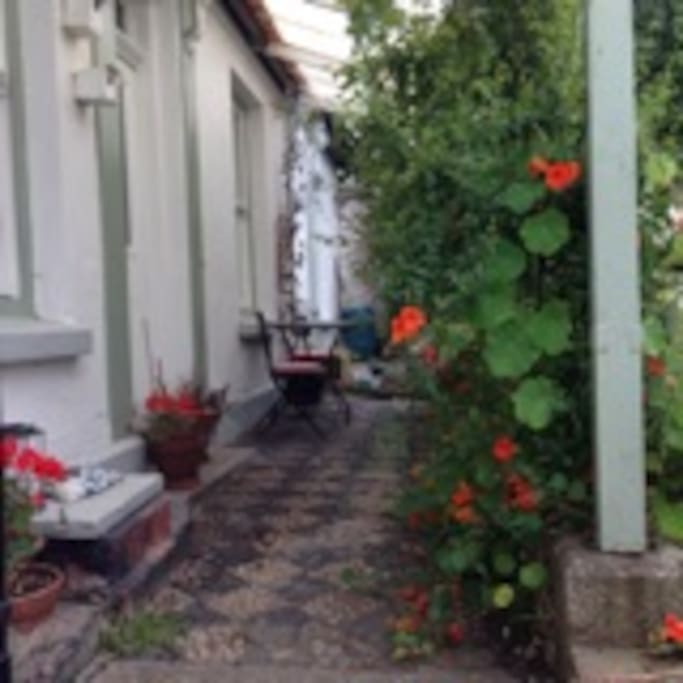 A lovely shaded place space to eat breakfast or enjoy an evening drink, surrounded by passion flowers