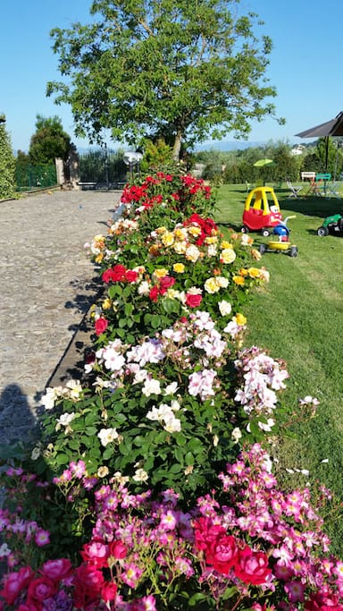 Ingresso con roseto