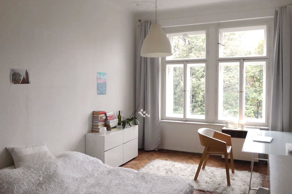 in this sunny room