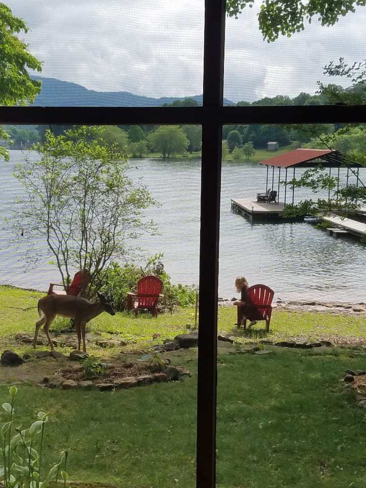 10 Best Airbnb Vacation Rentals In Hiawassee, Updated 2024