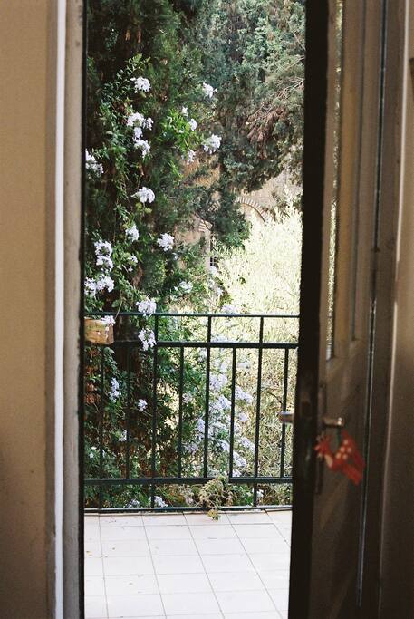 Balcony in the Summer !