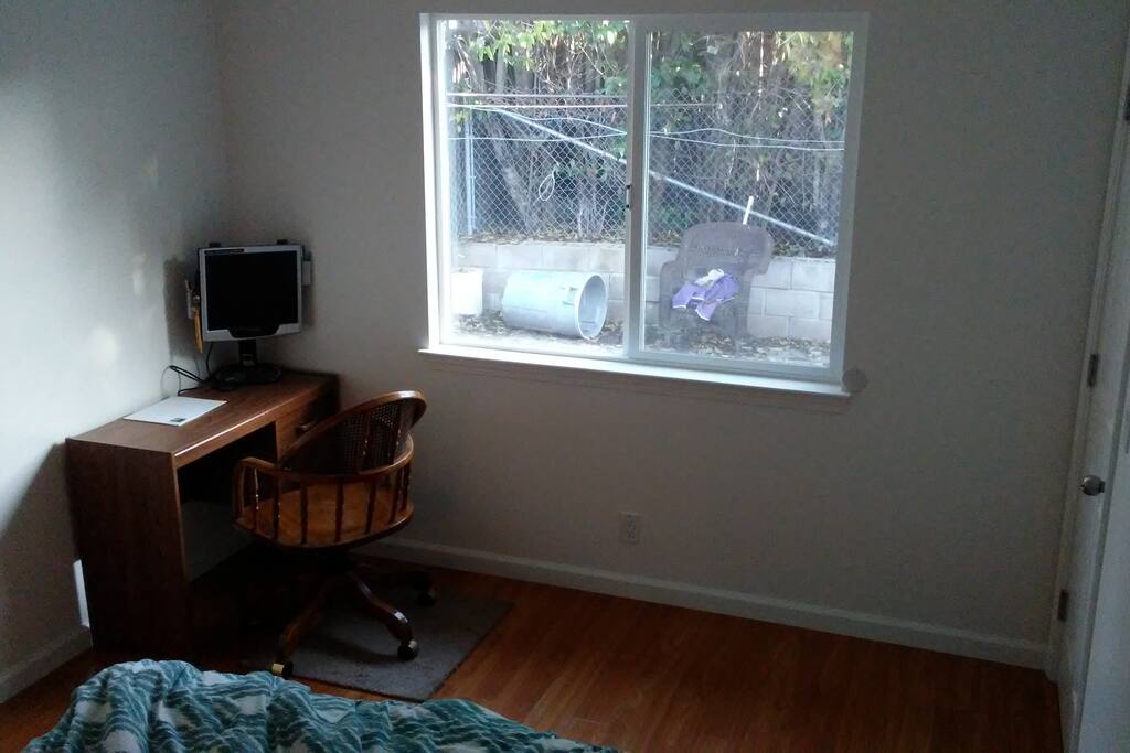 View of backyard