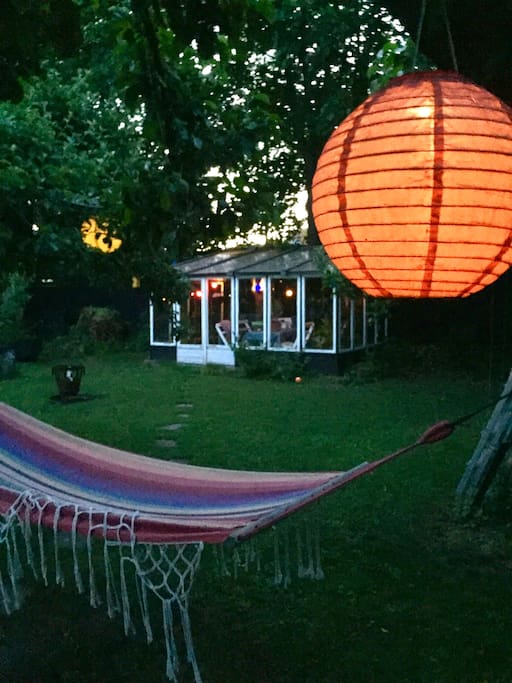 The garden at night