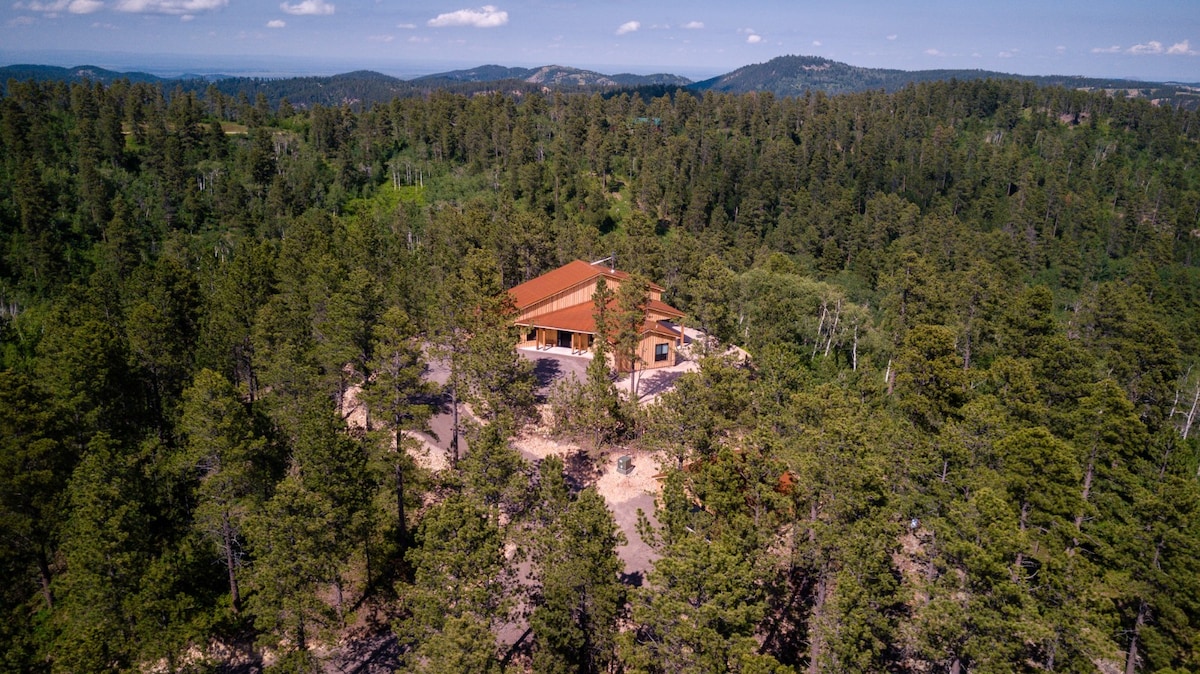 The cabin is nestled within a dense forest of tall pine trees, surrounded by rolling hills. A modern structure with a distinctive red roof is visible, blending rustic and contemporary elements. The natural landscape provides a serene backdrop, enhancing the secluded feel of the property.