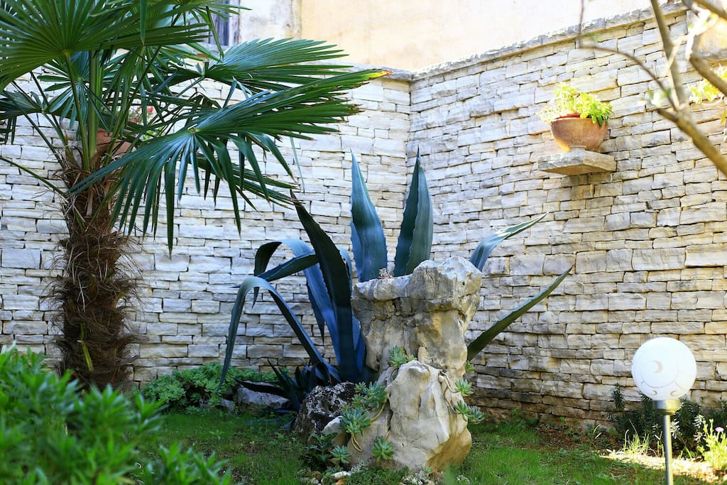 The garden (front) 1