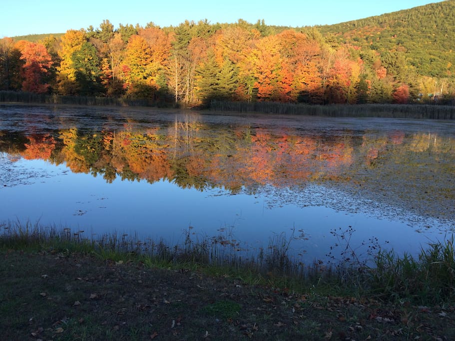 Card Lake in October
