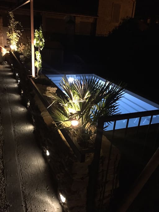 Jardin et piscine de nuit 1