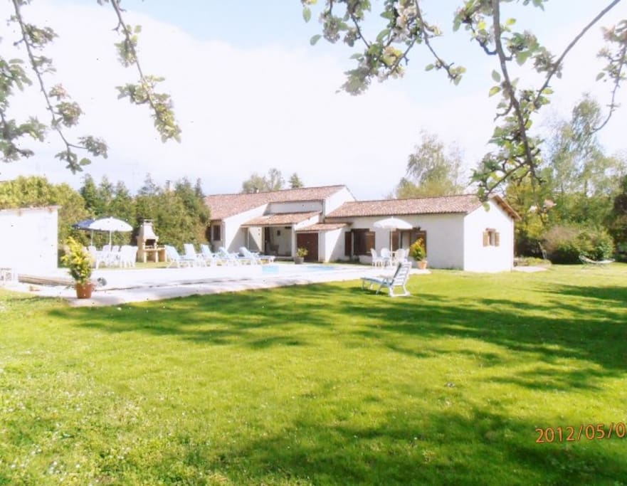 rear garden and pool