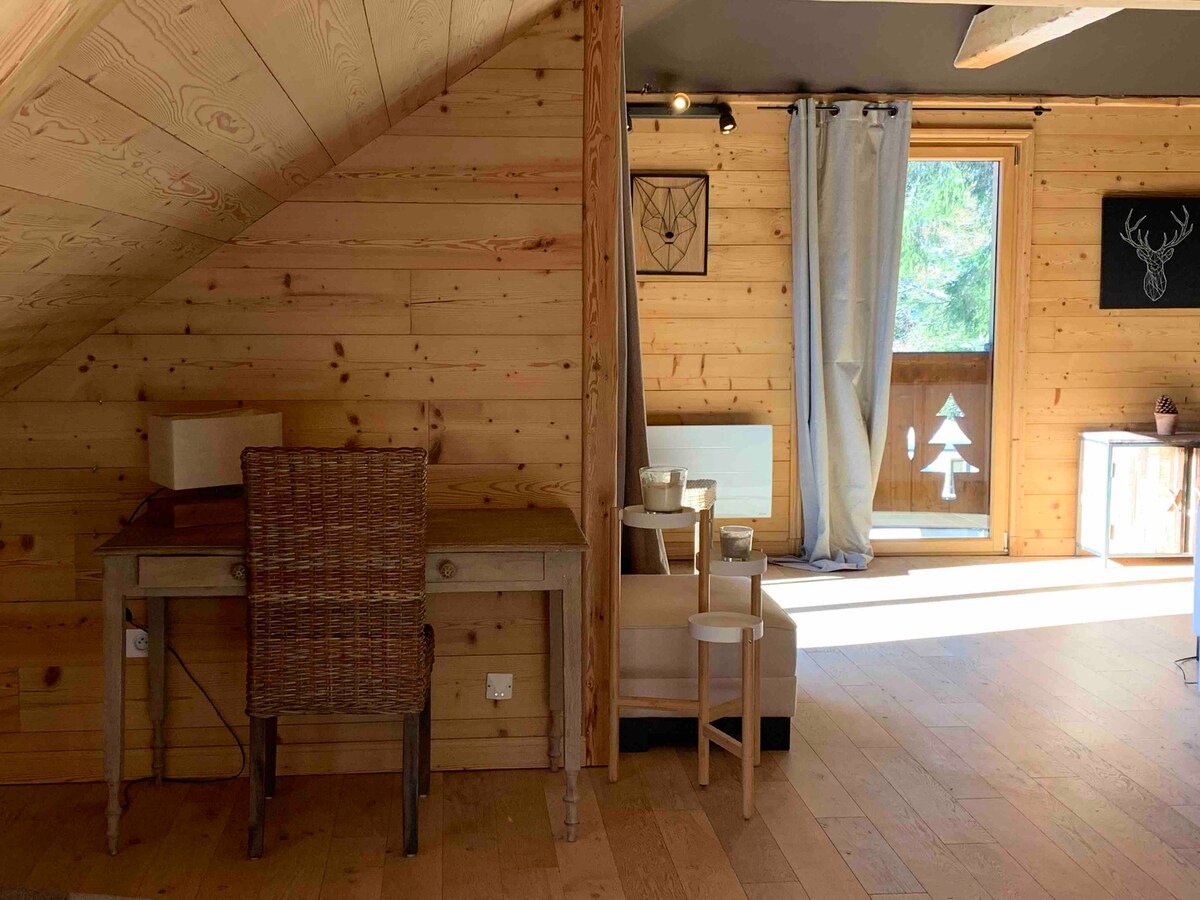 Successful Airbnb property: Apartment/chalet 10/11 people at the foot of the slopes in Laveissière