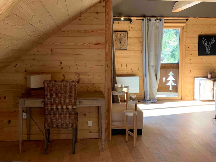 Appartement/chalet 10/11 Personnes Pied Des Pistes - Le Lioran (Super Lioran)