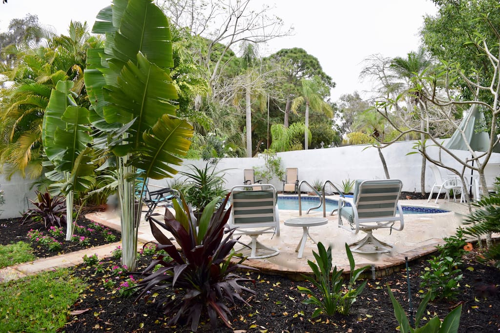 Pool Area