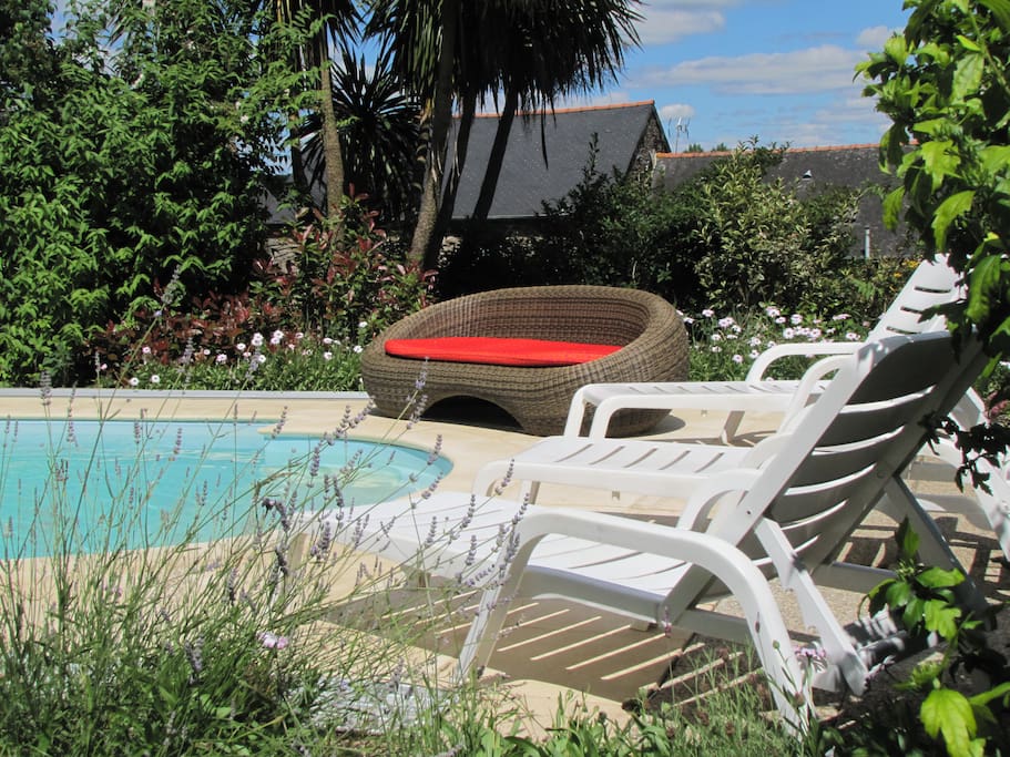 Relax by the pool