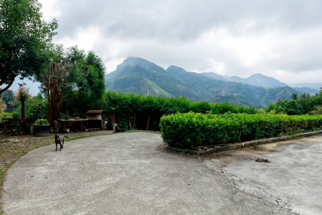 遠眺向天湖