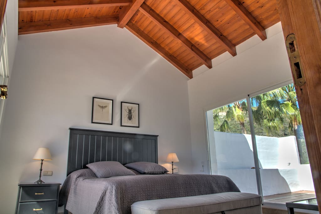 Master bedroom with cathedral ceiling